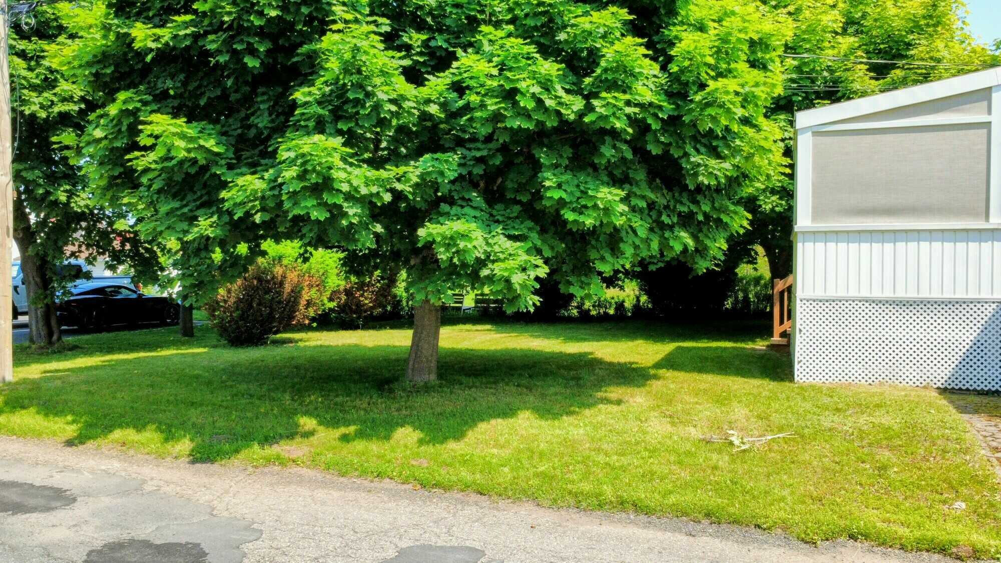 Grande propriété avec excellent potentiel au cœur de Shippagan --
Spacious Family Home with Income Potential in the Heart of Shippagan 5