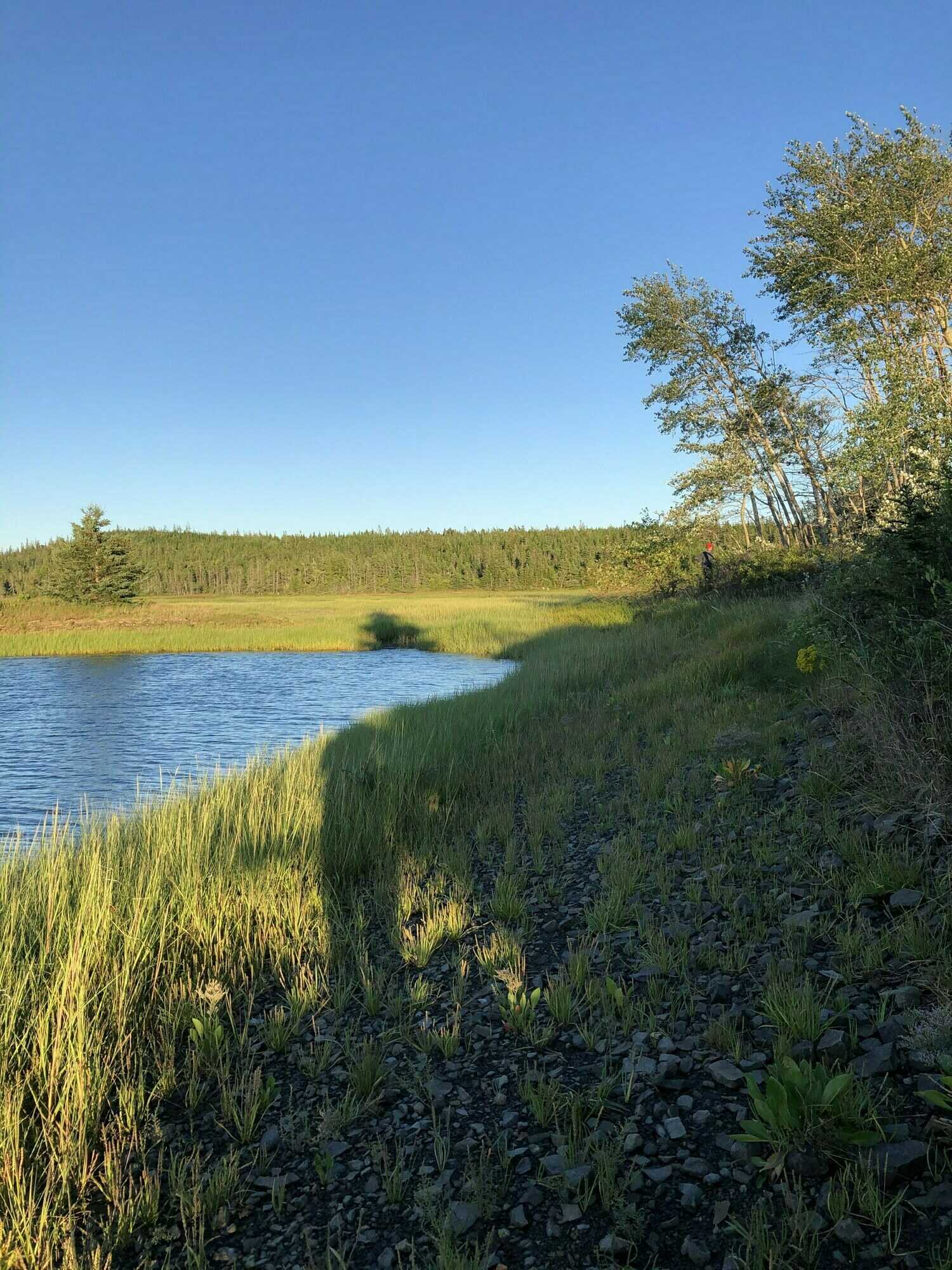 Welcome to beautiful West Arichat,  Cape Breton Island. 3