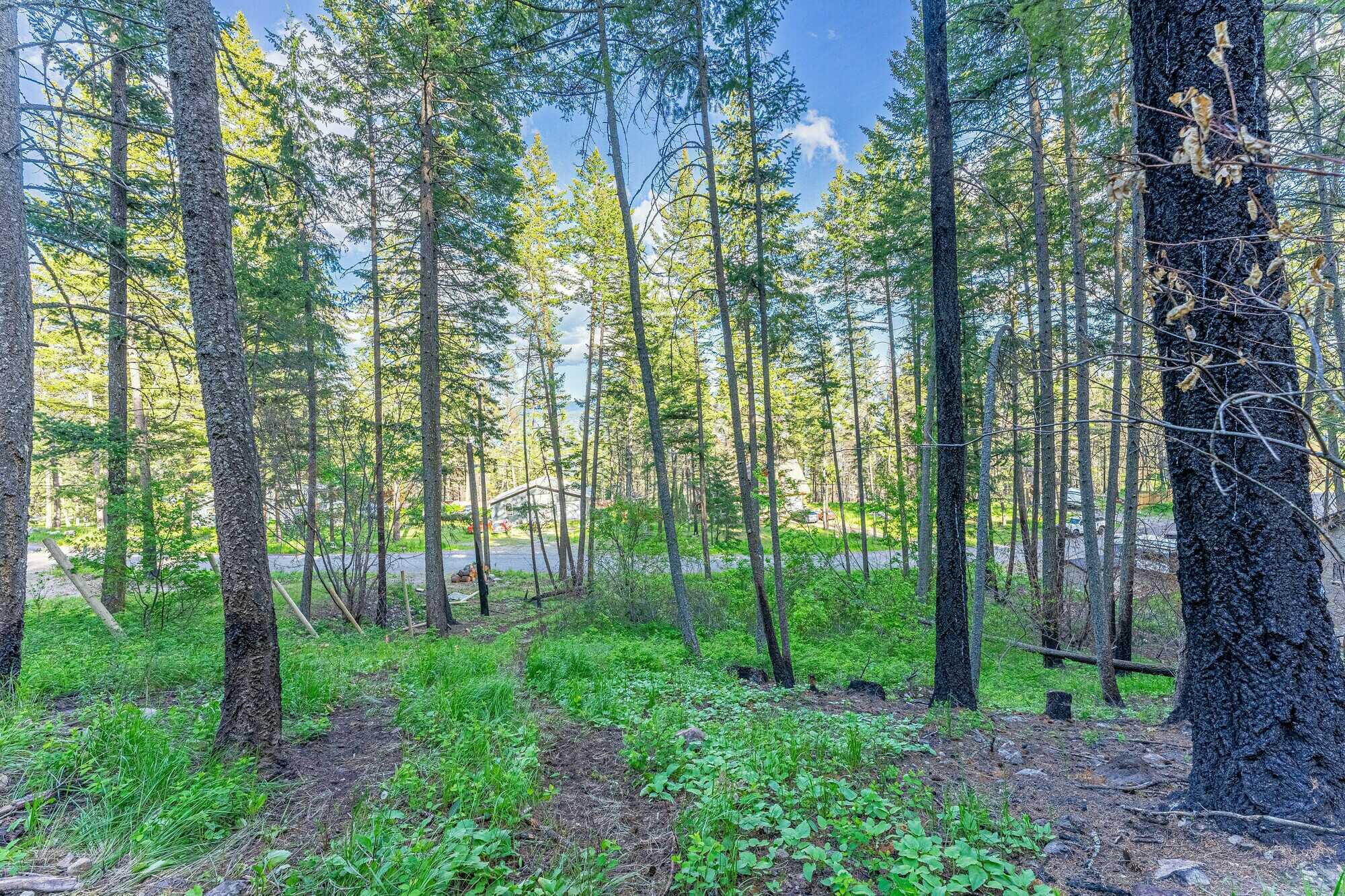 Enjoy the privacy and serenity of this fantastic .61 Acre lot with water and power onsite! Located at the top of Killiney Beach subdivision. This is a must see! 4