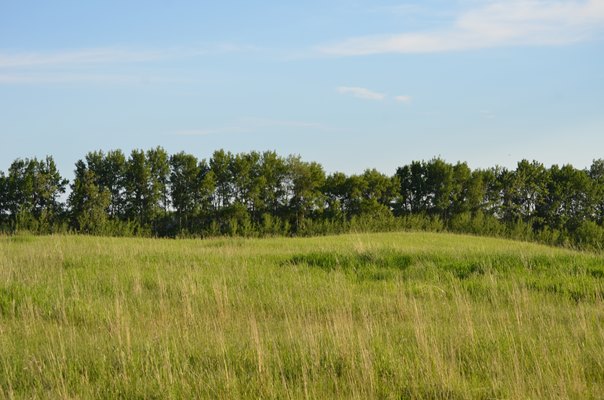Foxfire Glen Lot 3, Block 3, Rimbey 5