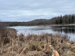 Land for sale 2