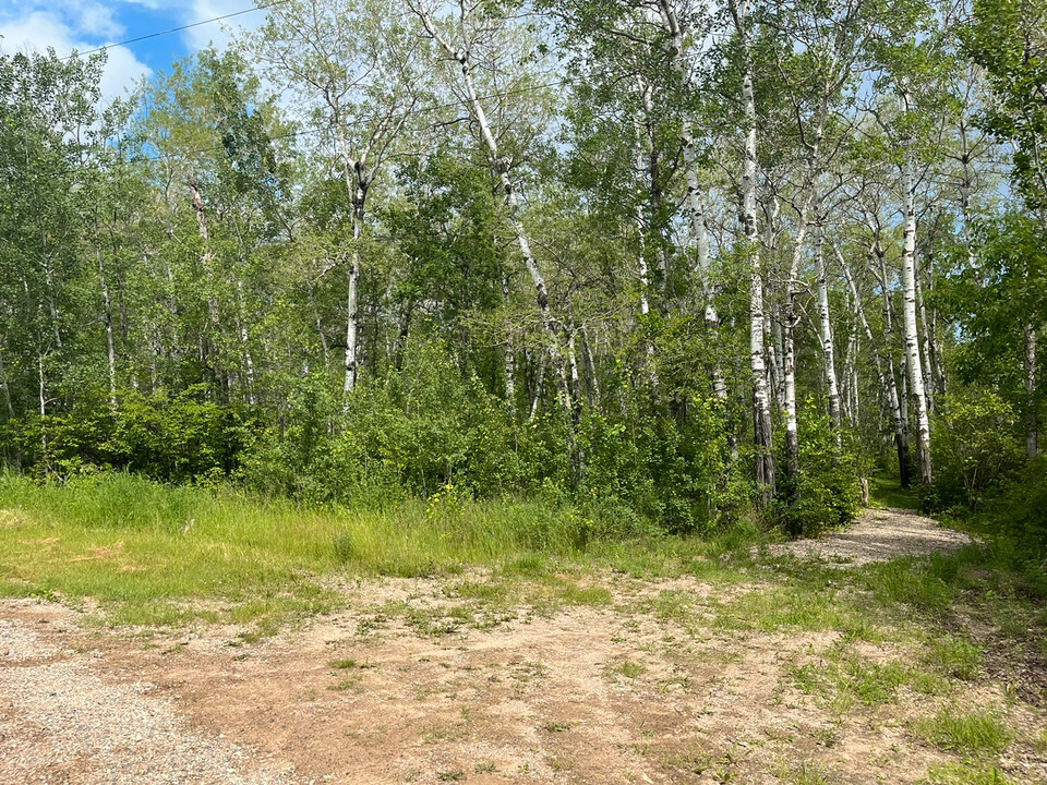 Residential building lot with Lake View 4