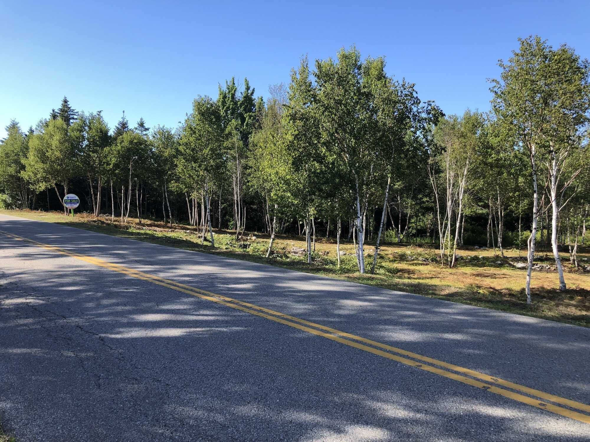 Oceanfront Vacant Lot on Feltzen South Road 4