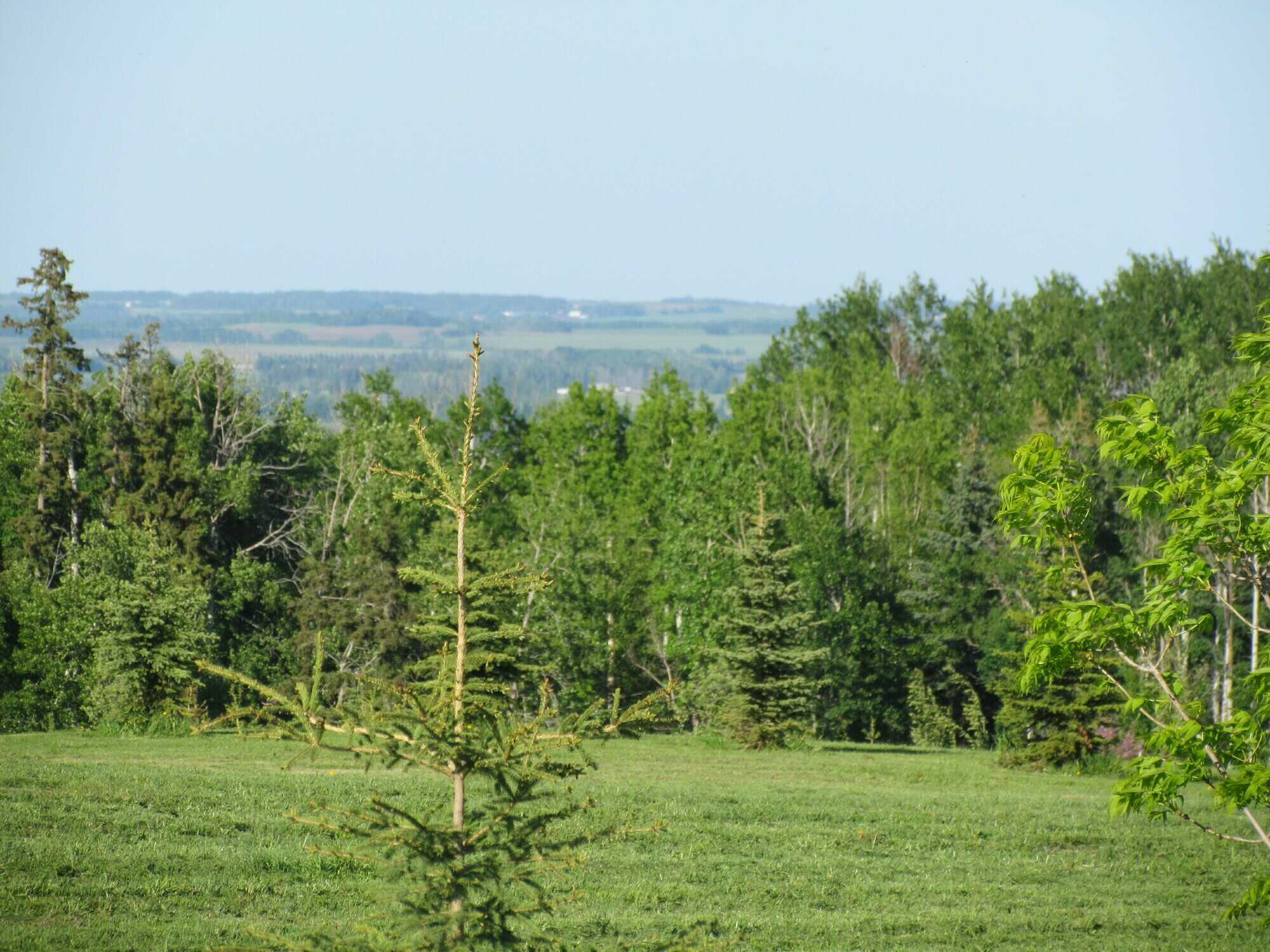 Lot 12 - 2.87 acres 4