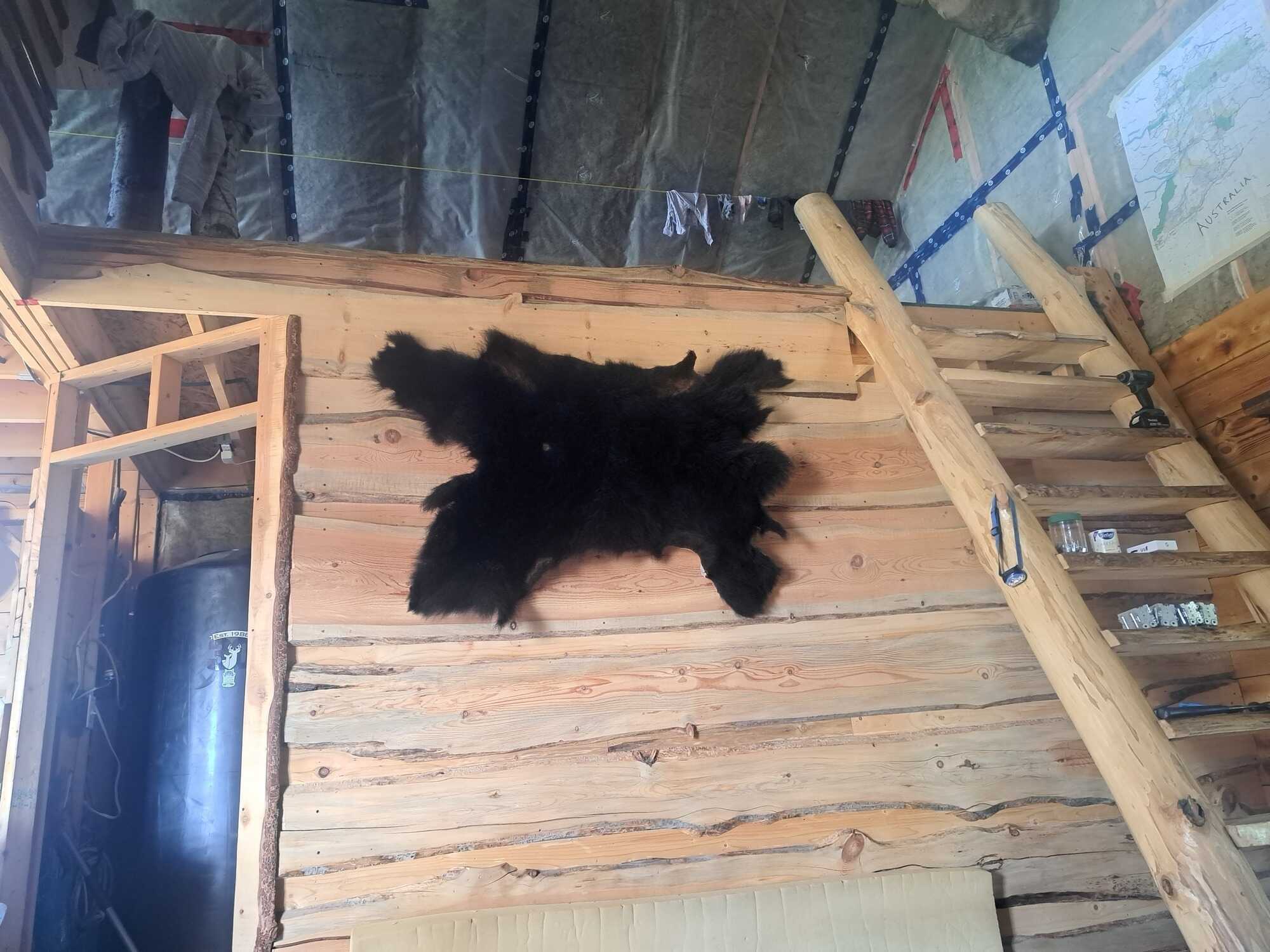 Updated price and active cell number 604-340-3126:155ac of Stunning off grid property 2