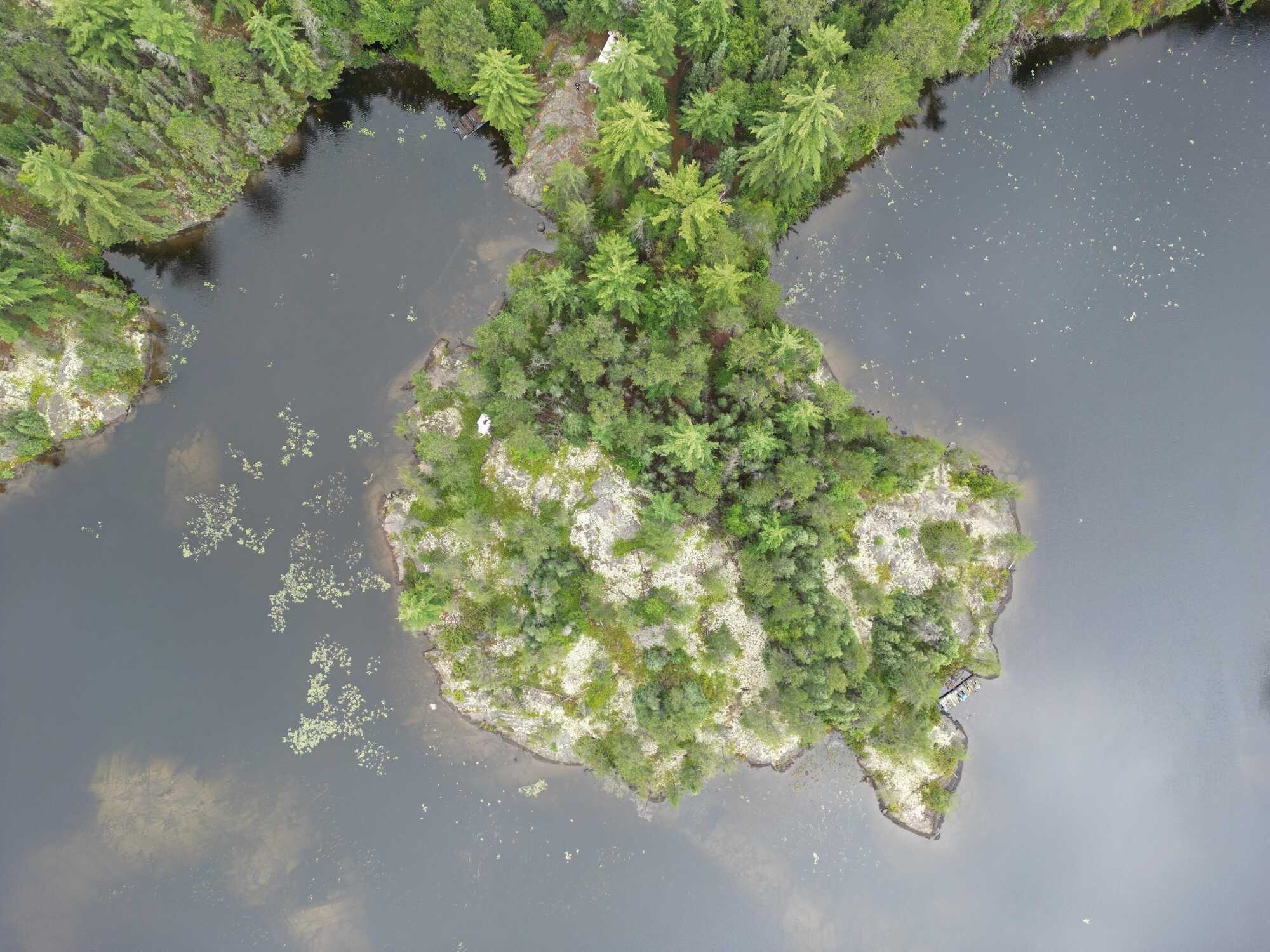 🌿 Tranquil Paradise Nestled on 1.78 Acres 🌿 5