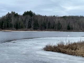Land for sale 3