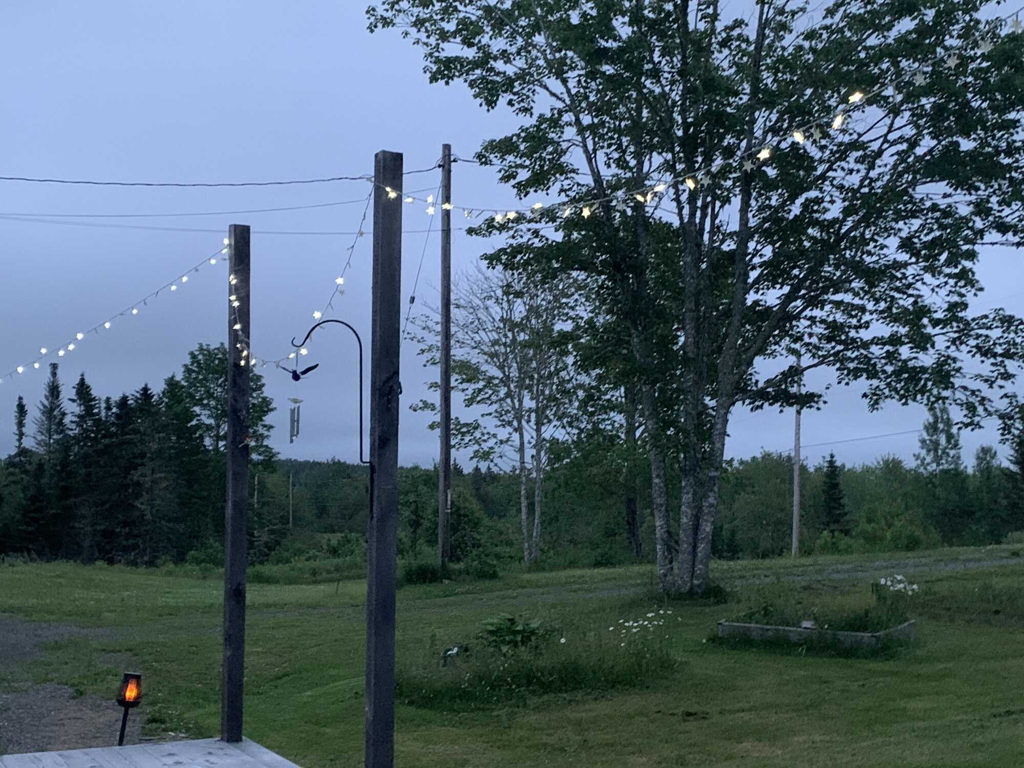 6.52 Acres with Well, Septic & Driveway in Place 5