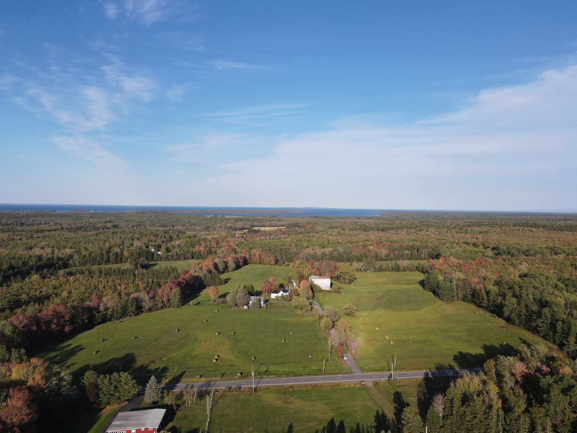 What a unique opportunity! Almost 96 acres of property! 4