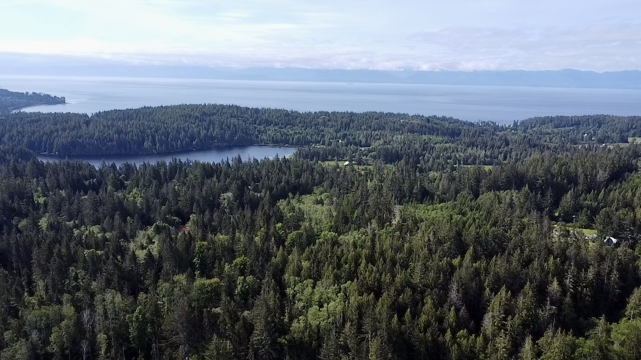 Spacious 4,010 sq metre buildable area for your dream home on this stunning 2.47ac lot. Just minutes from Sooke, this rural setting provides the benefits of space and privacy. On-site well, level building area, zoned RR2. Call 250-919-7126 for info. 4