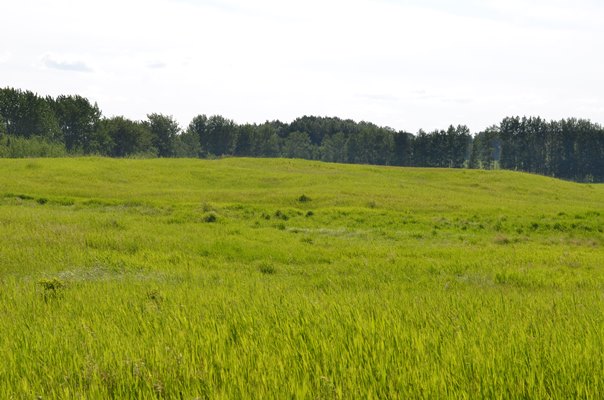 Foxfire Glen Lot 4 Block 2, Rimbey 5