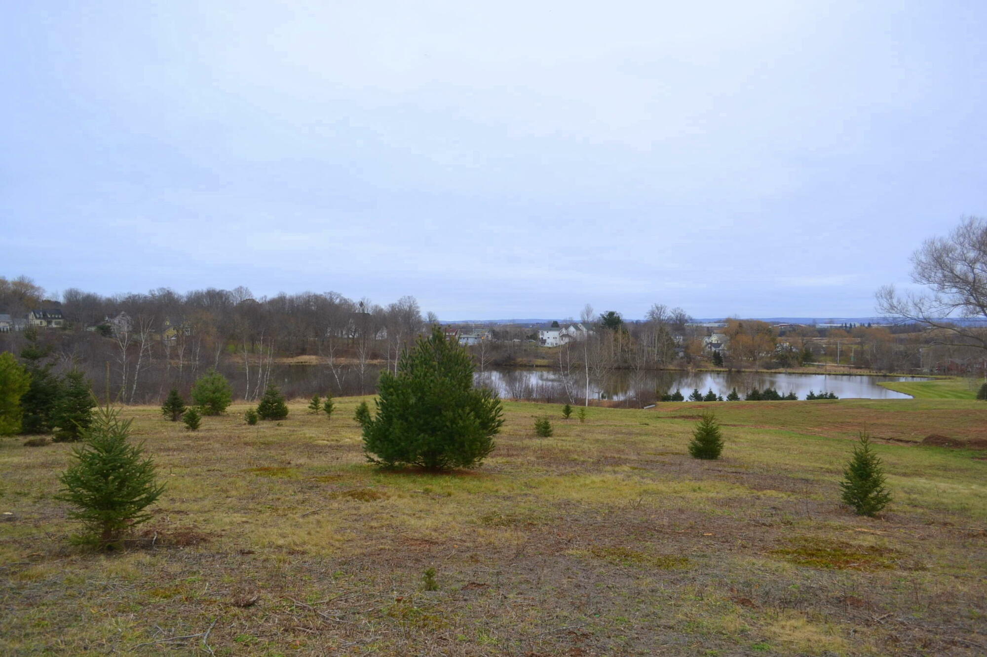 9641 Highway 221, Canning 4