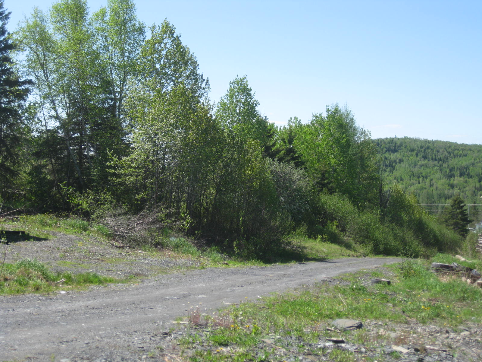 Chemin Iroquois, Saint-Basile 4