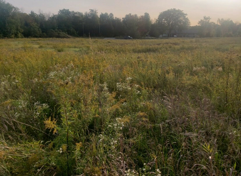 Vacant land for sale 4