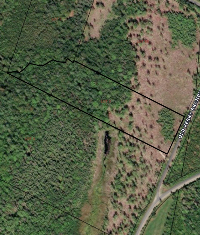 Perfect building lot! Lots of privacy! 2