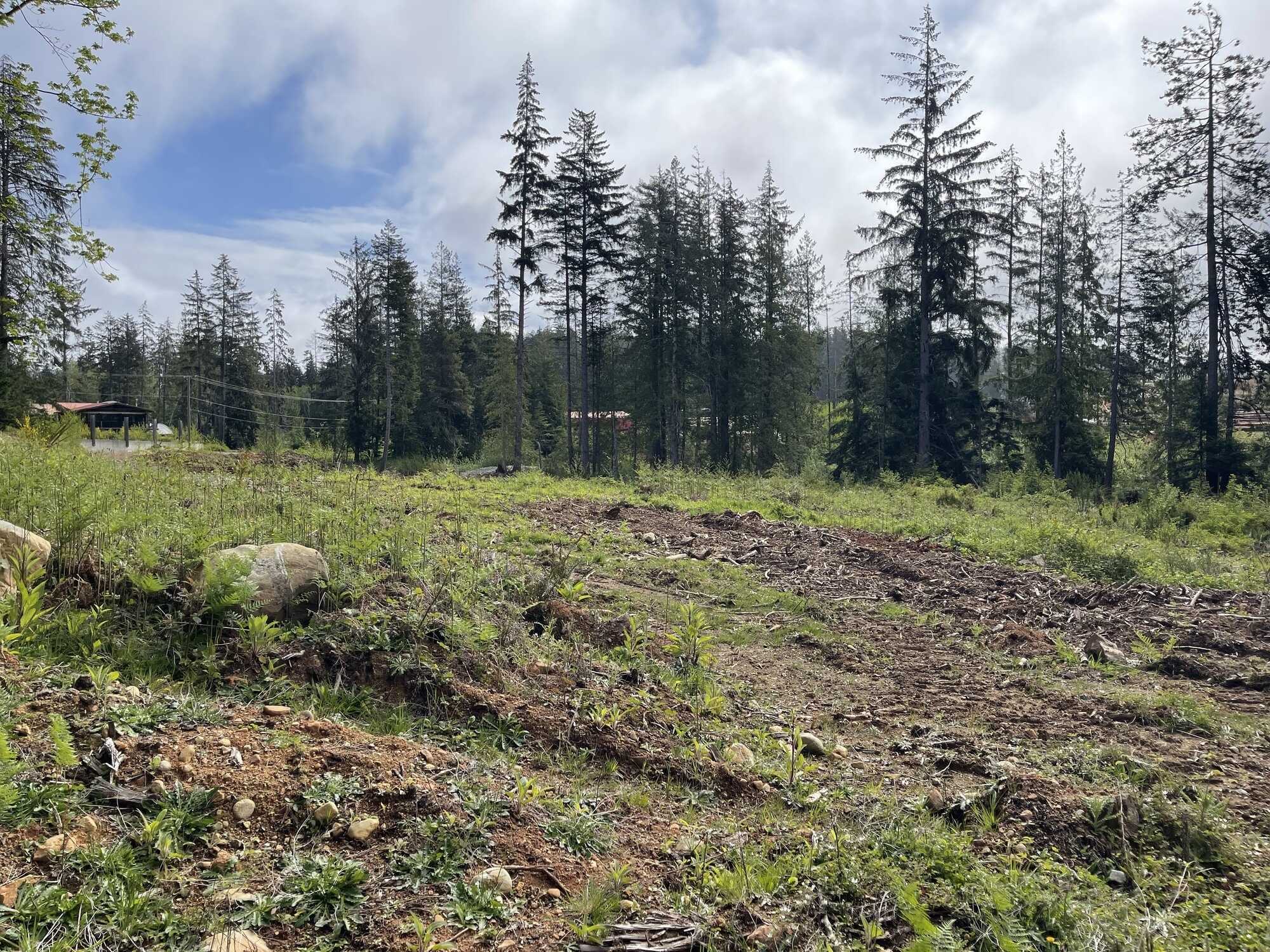 Space to build your dream home - 2,250 sq m of buildable frontage. This rural setting provides space and privacy in a natural setting. On-site well, level building area, zoned RR2 - options for dwelling and land use.  Call 250-919-7126 for info. 3