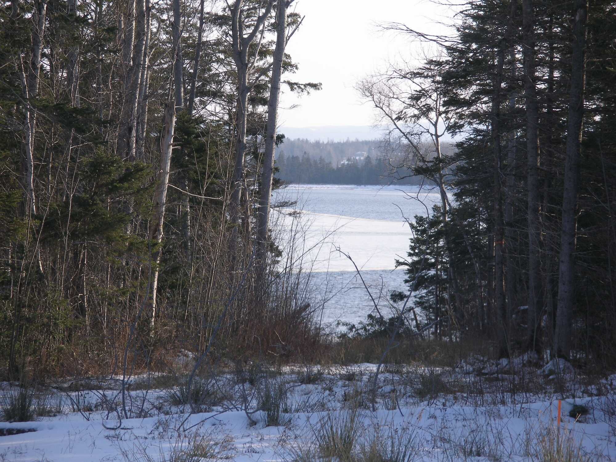 Baywood Estates, Malagash Road - Lot 10, Malagash 3