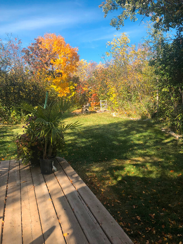 Cozy year round cabin on 2 Lots for sale -beautiful Sandy Beach 2