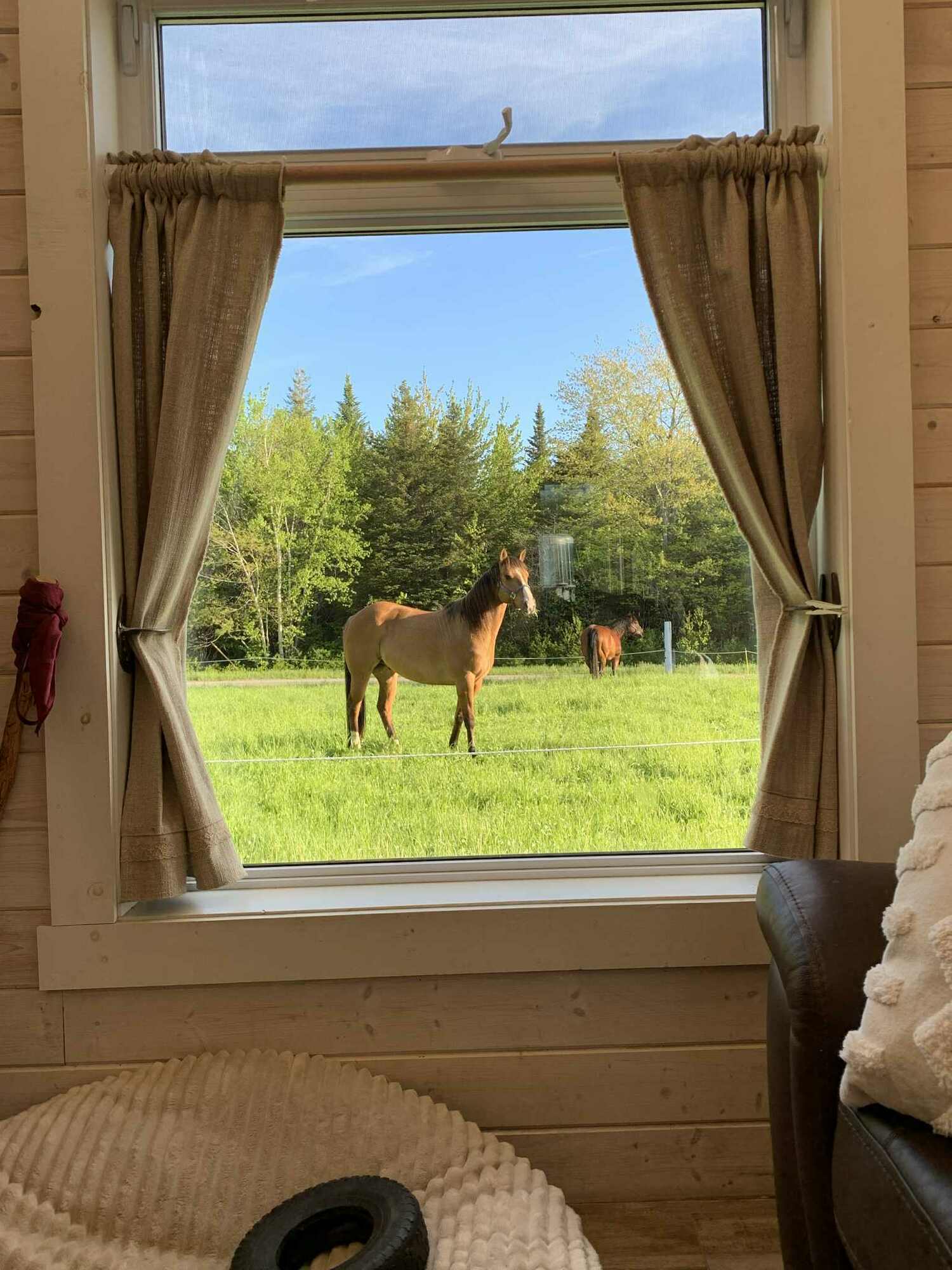 Propriété équestre prestigieuse – Un lieu d’exception aux possibilités infinies ! // Prestigious Farm Property for Horse Lovers — Endless Possibilities! 3