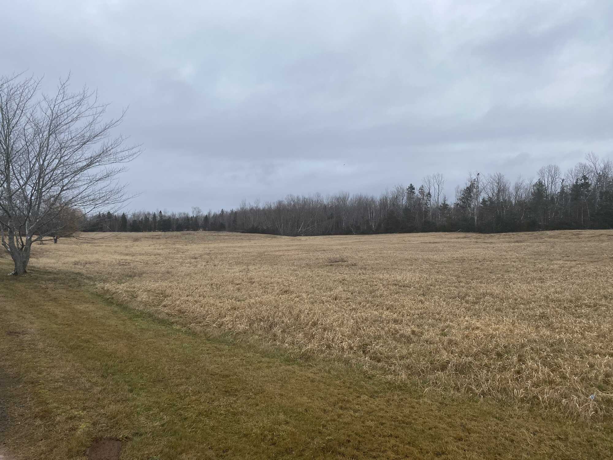 What a unique opportunity! Almost 96 acres of property! 3
