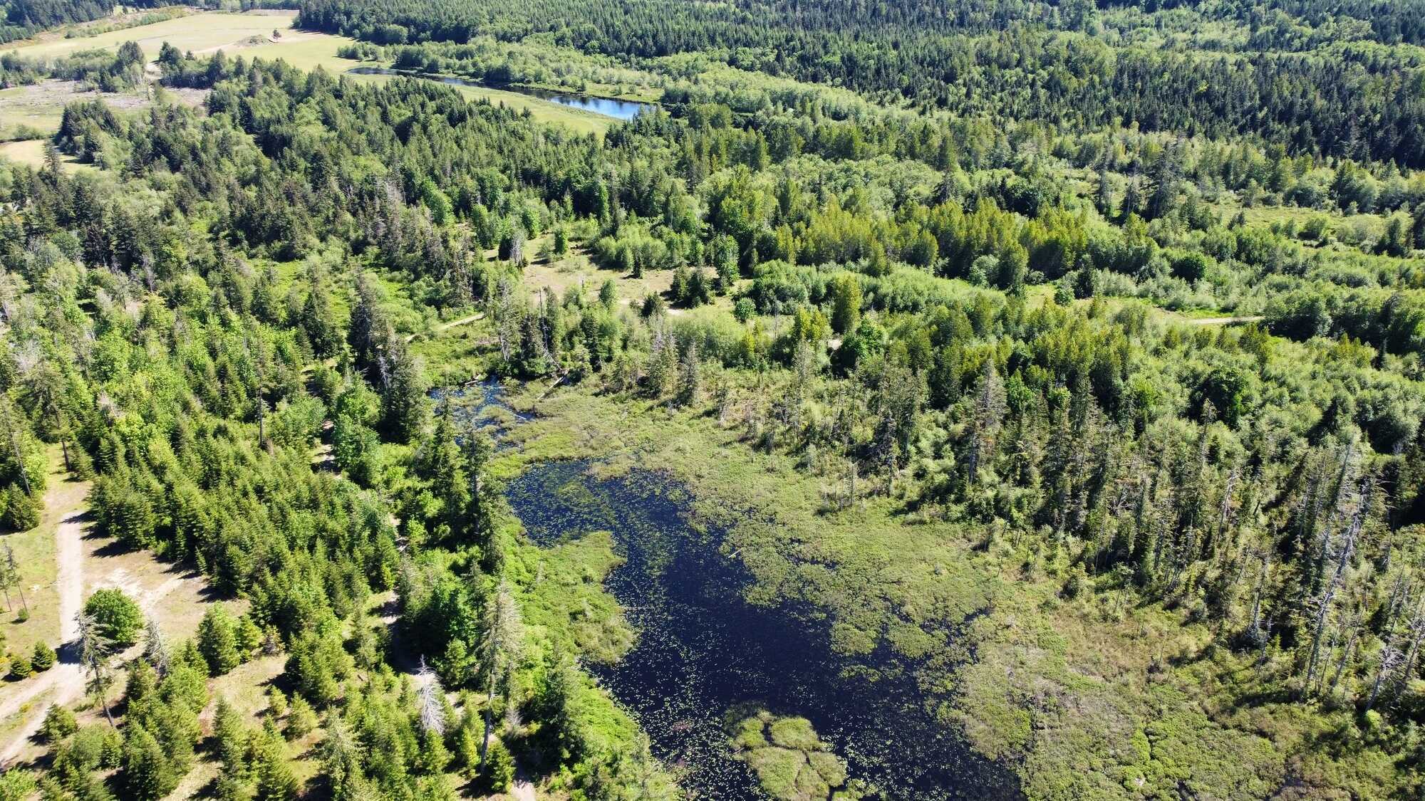 Dreaming of Your Own Fresh Air Country Living Paradise? 5