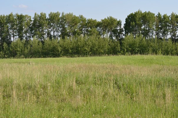 Foxfire Glen Lot 4 Block 2, Rimbey 3