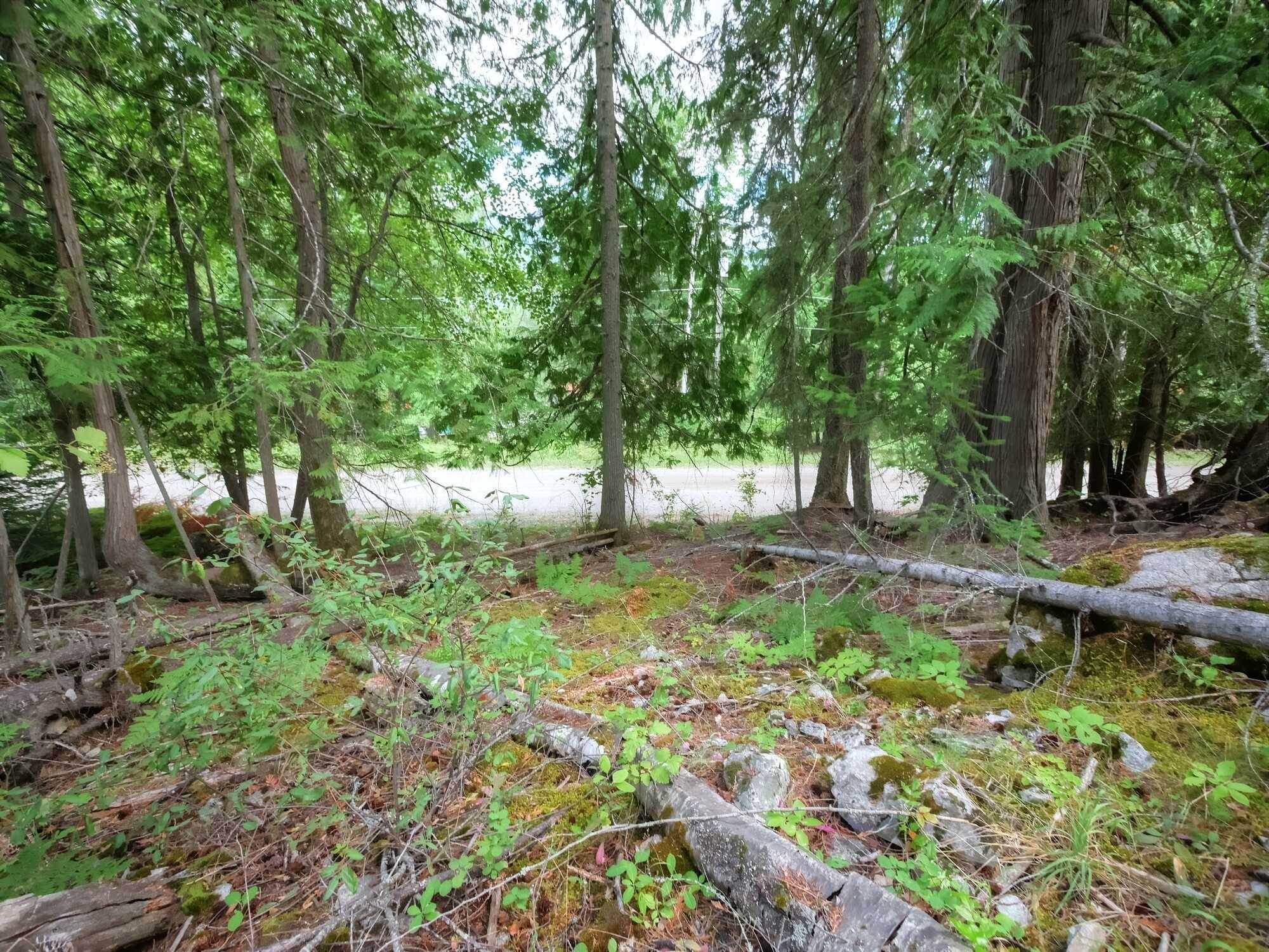 Untouched Slice of Paradise  -  0.99 Acres West side of Lower Arrow Lake - north of Fauquier! Build a dream home, create a peaceful summer retreat or set up an impressive RV site! Choices are endless! 3