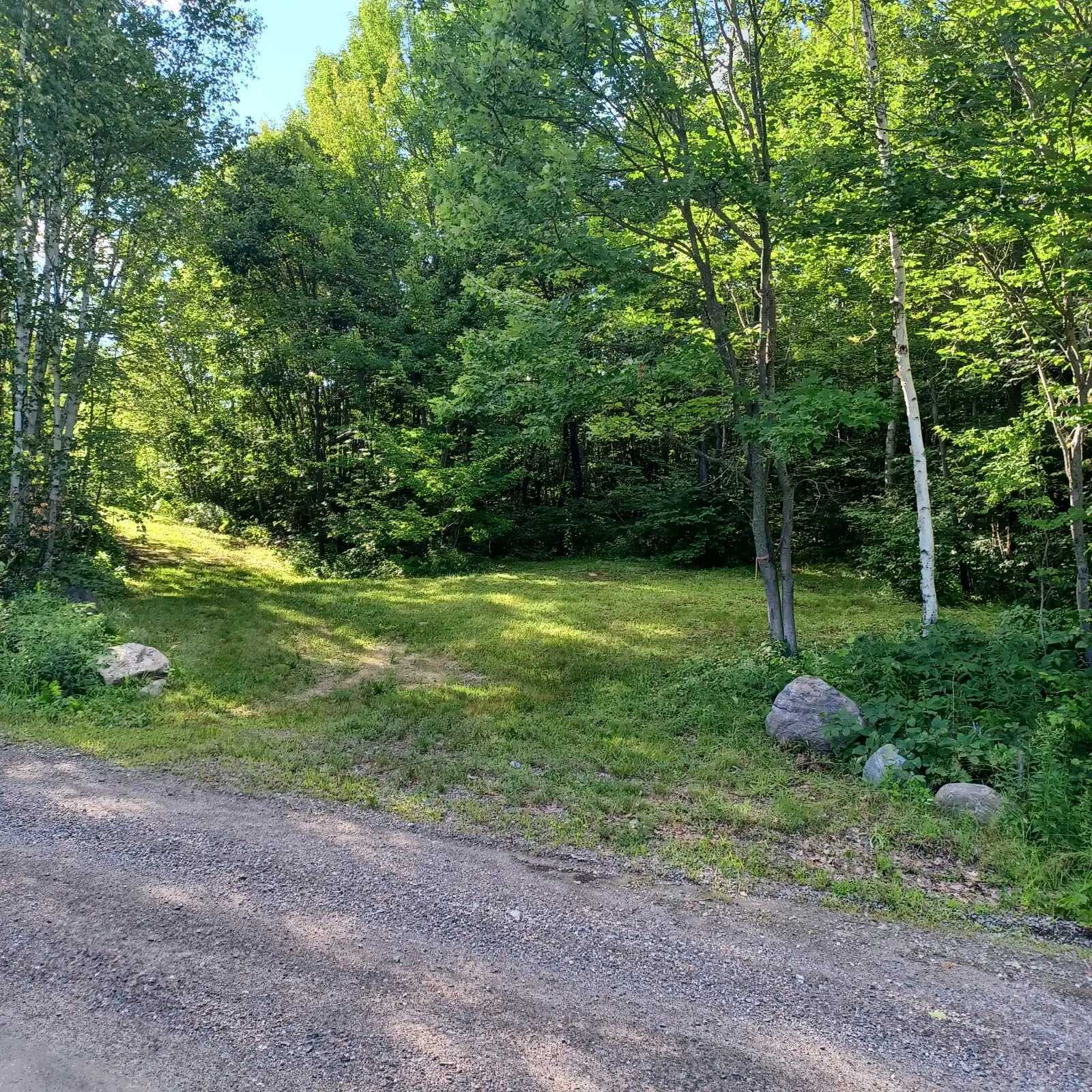 9 Acres For Sale on Paddy Lake Road 3