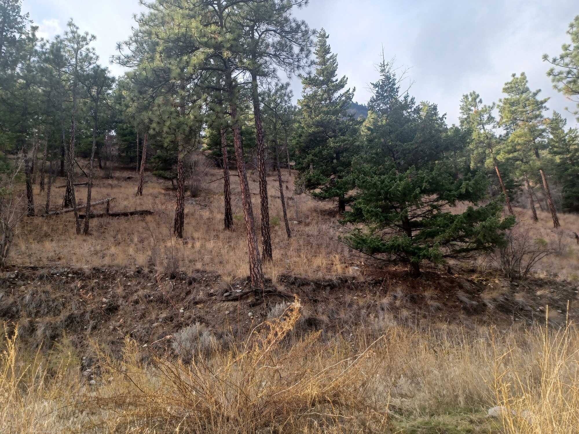 Lot for Sale - Lillooet 3