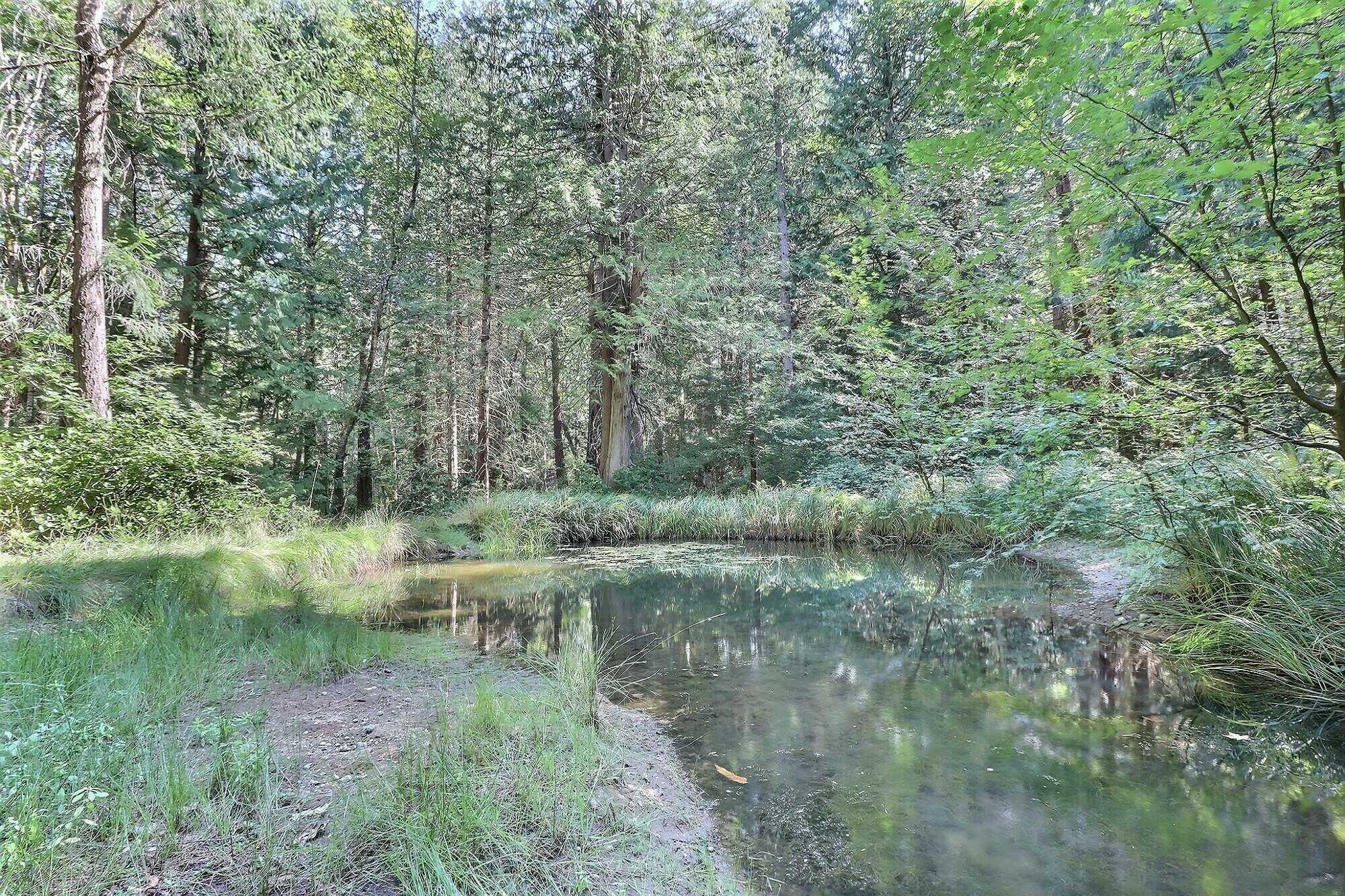 Rare Hornby Island Acreage! 🌊 5