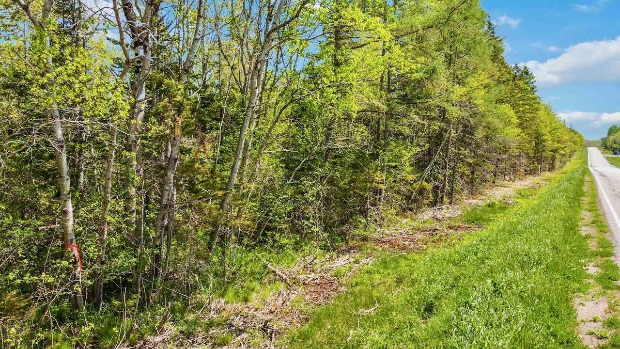 Rare 30 acre wooded lot on on Route 215, in beautiful Lower Burlington, West Hants - build your dream home with privacy, wildlife, and lifetime supply of firewood 4