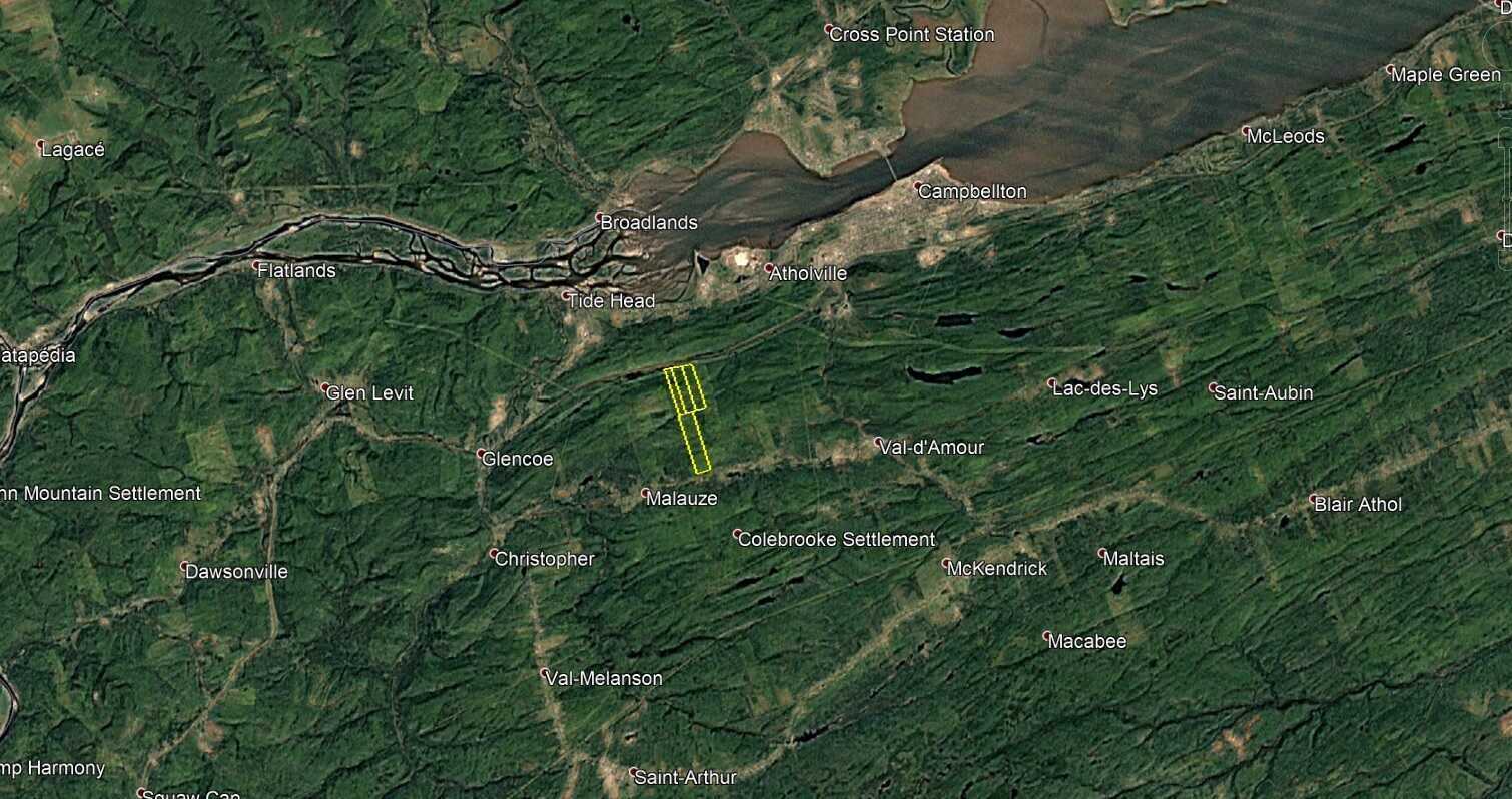 Forest Mountain Land for Sale 3