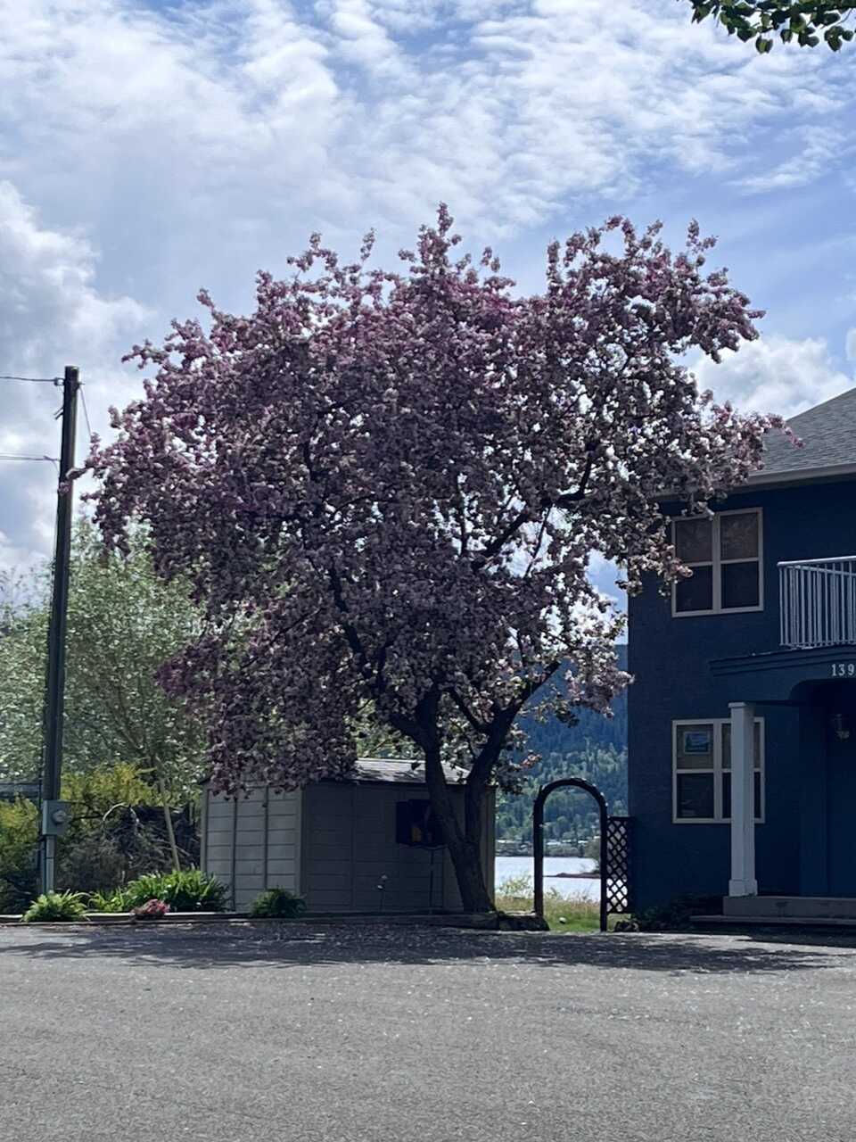 Serene Waterfront For Sale 5