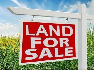Poplar Road (Lot 12, Con.1) - Manitoulin, Gore Bay (Township of Mills) 4