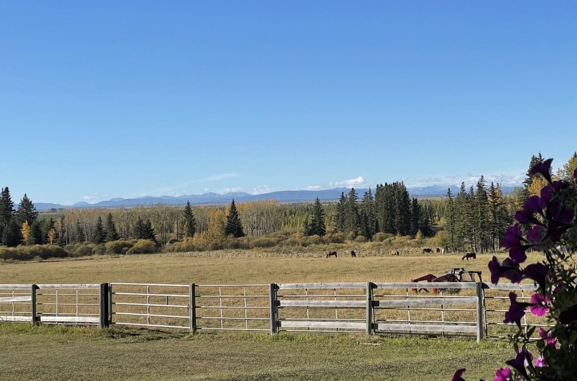 78.9 Acres ~ Mountain Views ~ Bungalow with Wrap Around Deck ~ Double Detached Garage ~ Oil Revenue ~ 5 minutes to Rocky ~ on Pavement 4