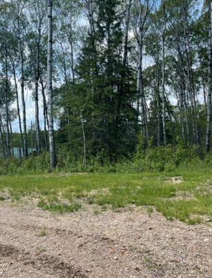 Cabin at Little Swan Subdivision, titled lot. Read ad to end 3
