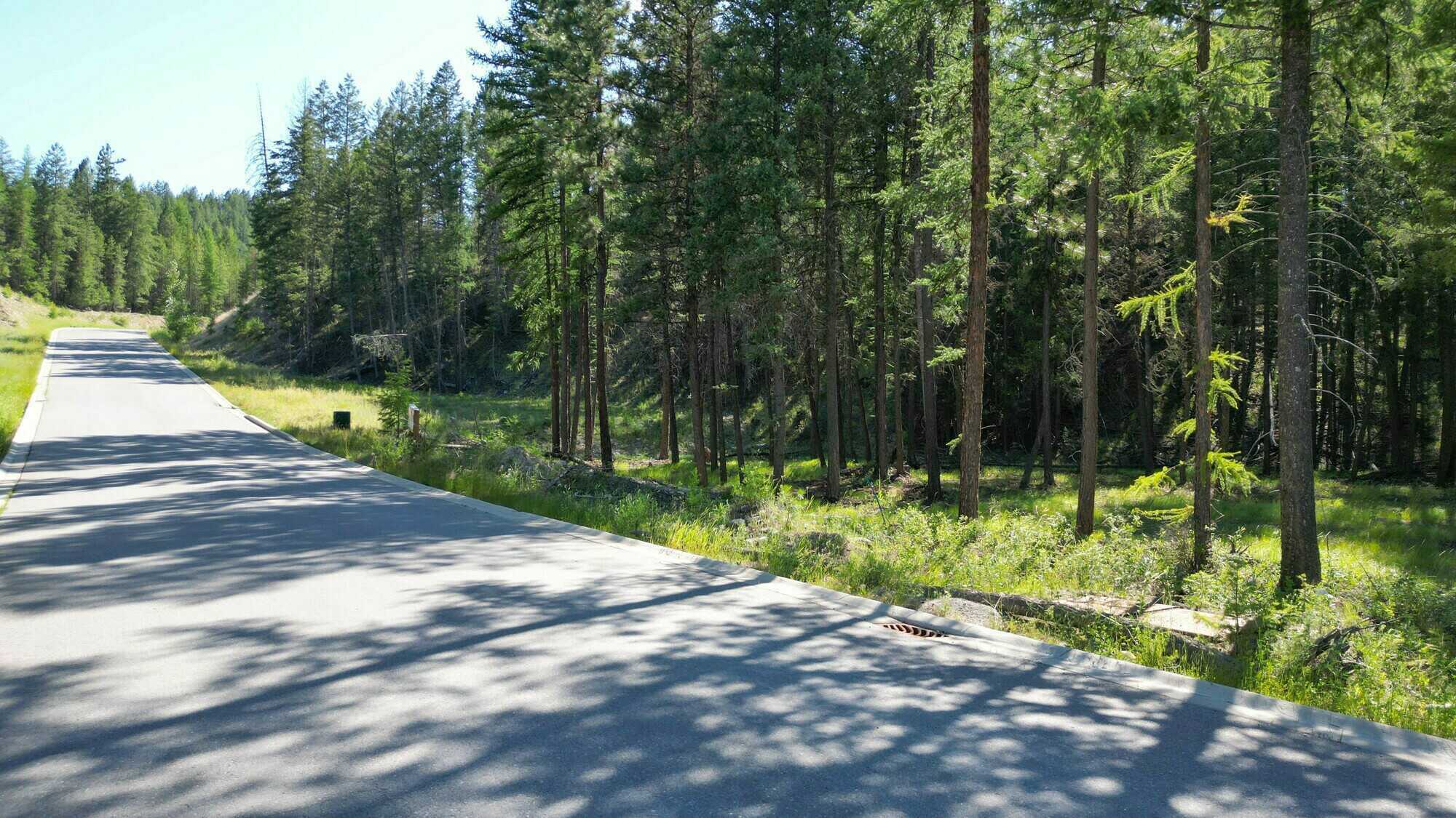 Exceptional .689-Acre Parcel in the Residences of Shadow Mountain 3