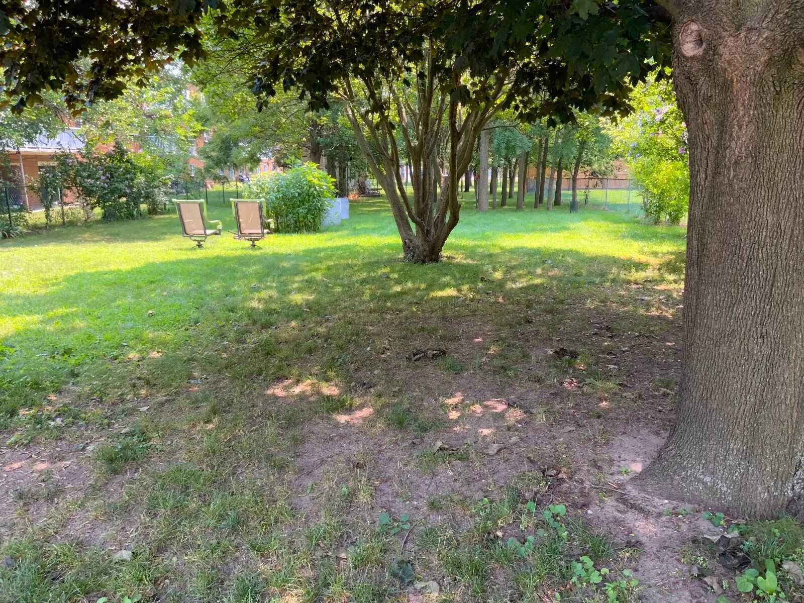 ½ Acre Treed Lot in Central Sarnia – Huge Potential! 5