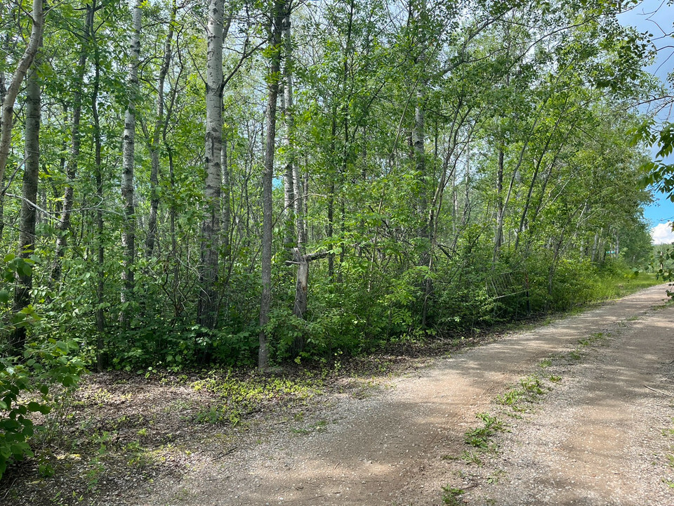 Building Lot with Lake View Traverse Bay 5