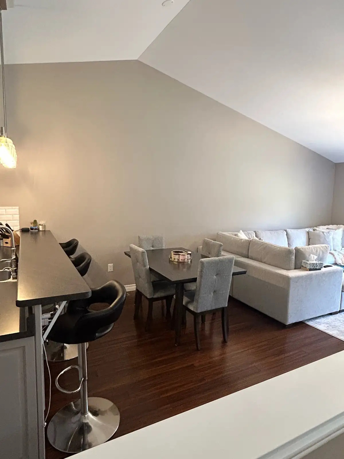 Beautiful Townhouse in Lasalle!!! 4