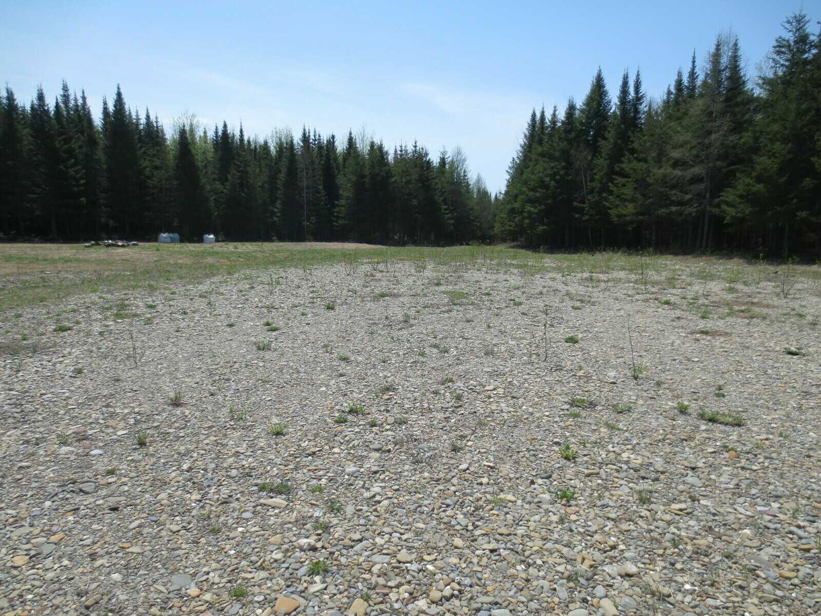 Prime commercial land In Saint-Leonard,NB with close access to RT #2, #17,#144 3