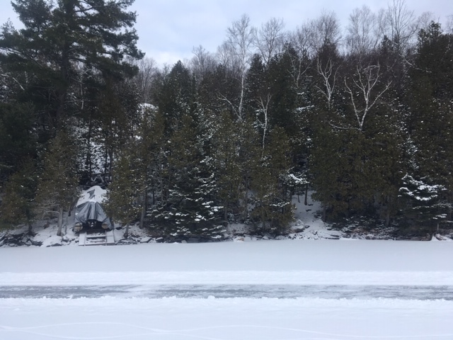 Land for Sale 3