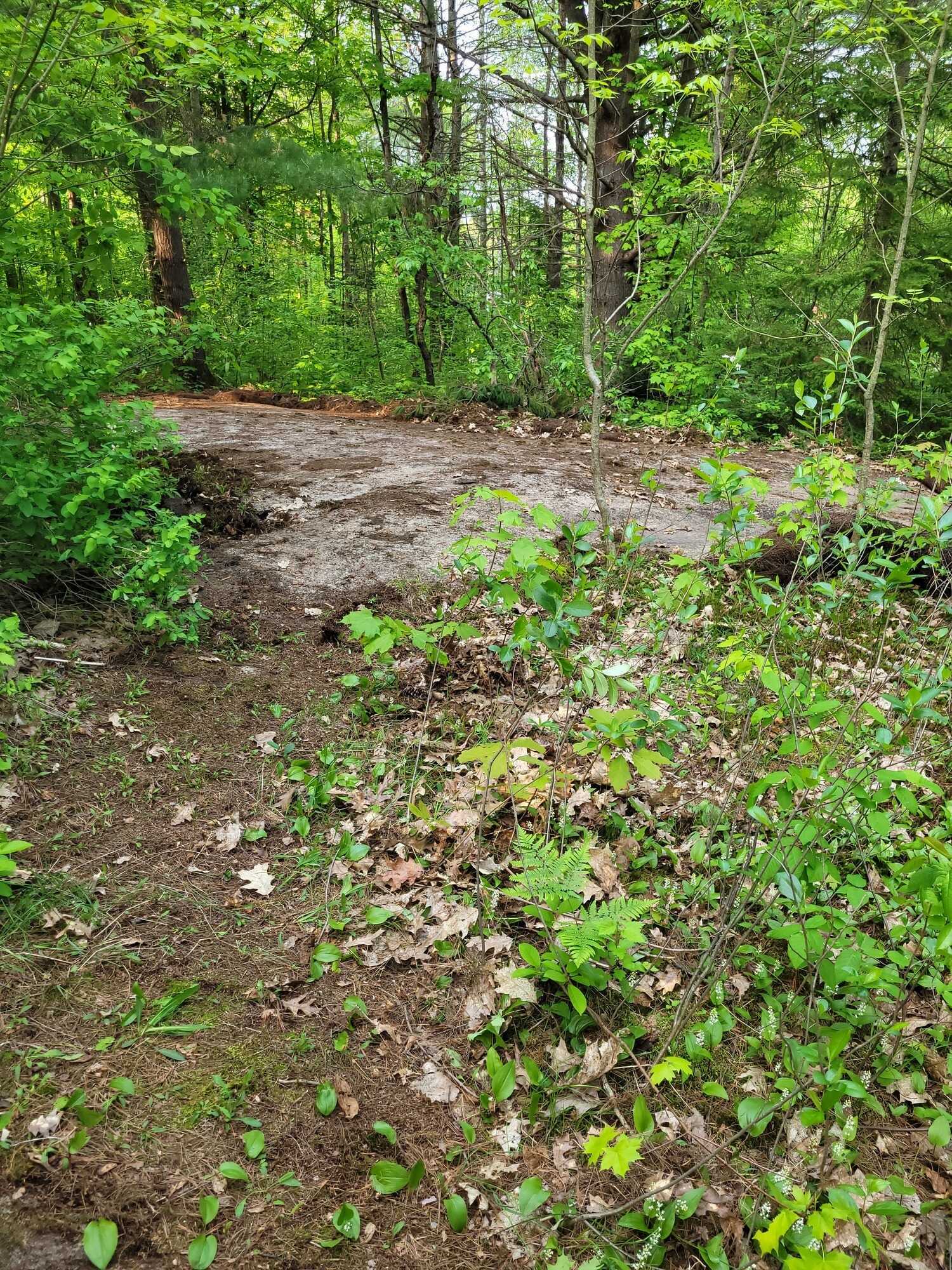 Rare Opportunity — Double Town Lots in Baysville, Ont: Serviced! 3