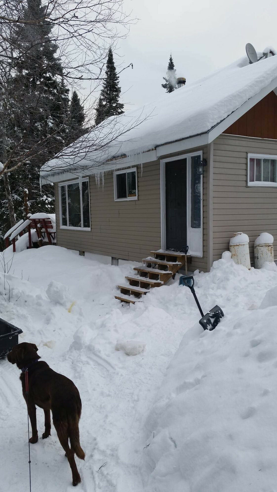 Grayling Lake Cabin 2