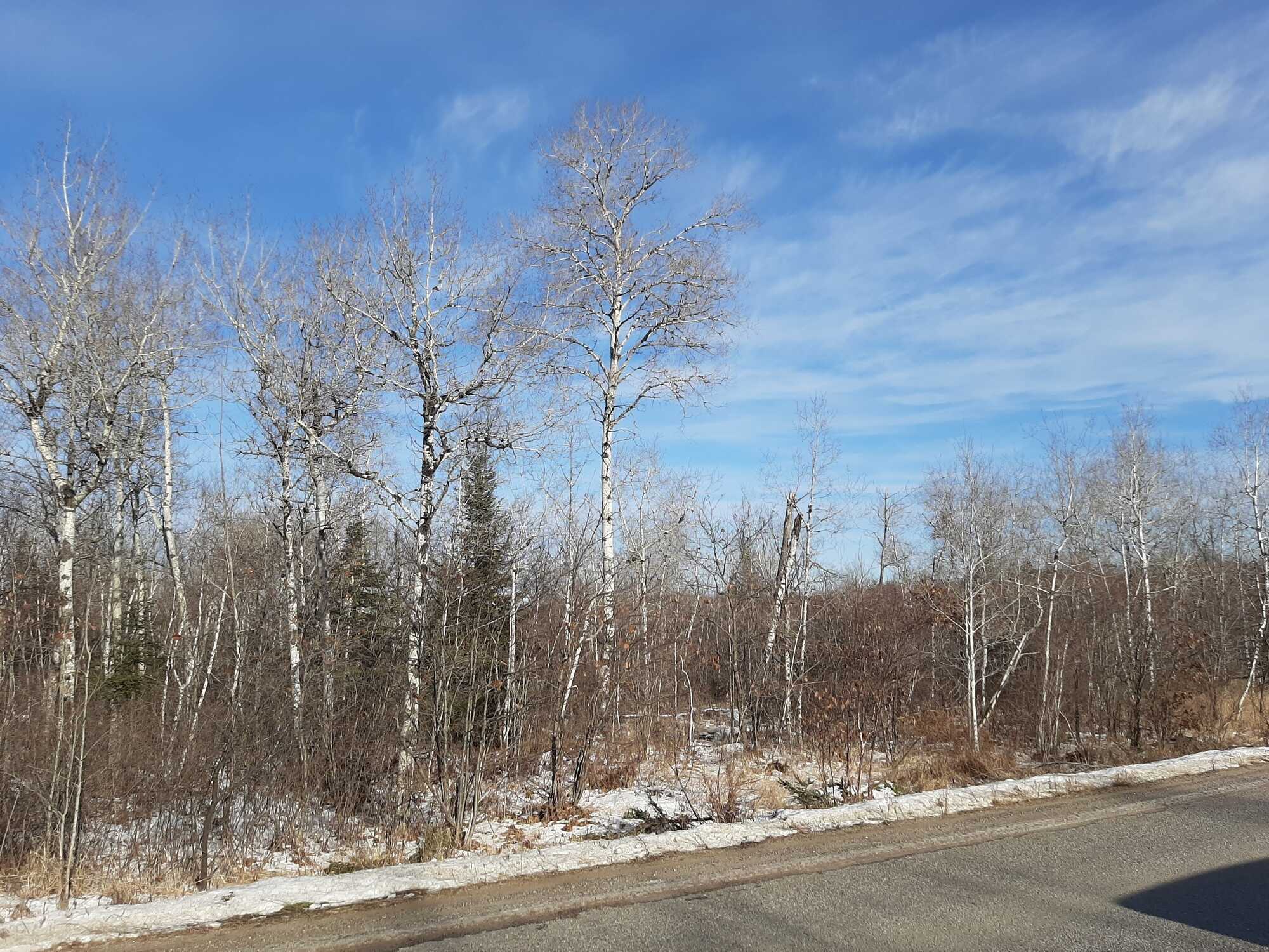 Moxam Landing Road - 6.44 Acres 4