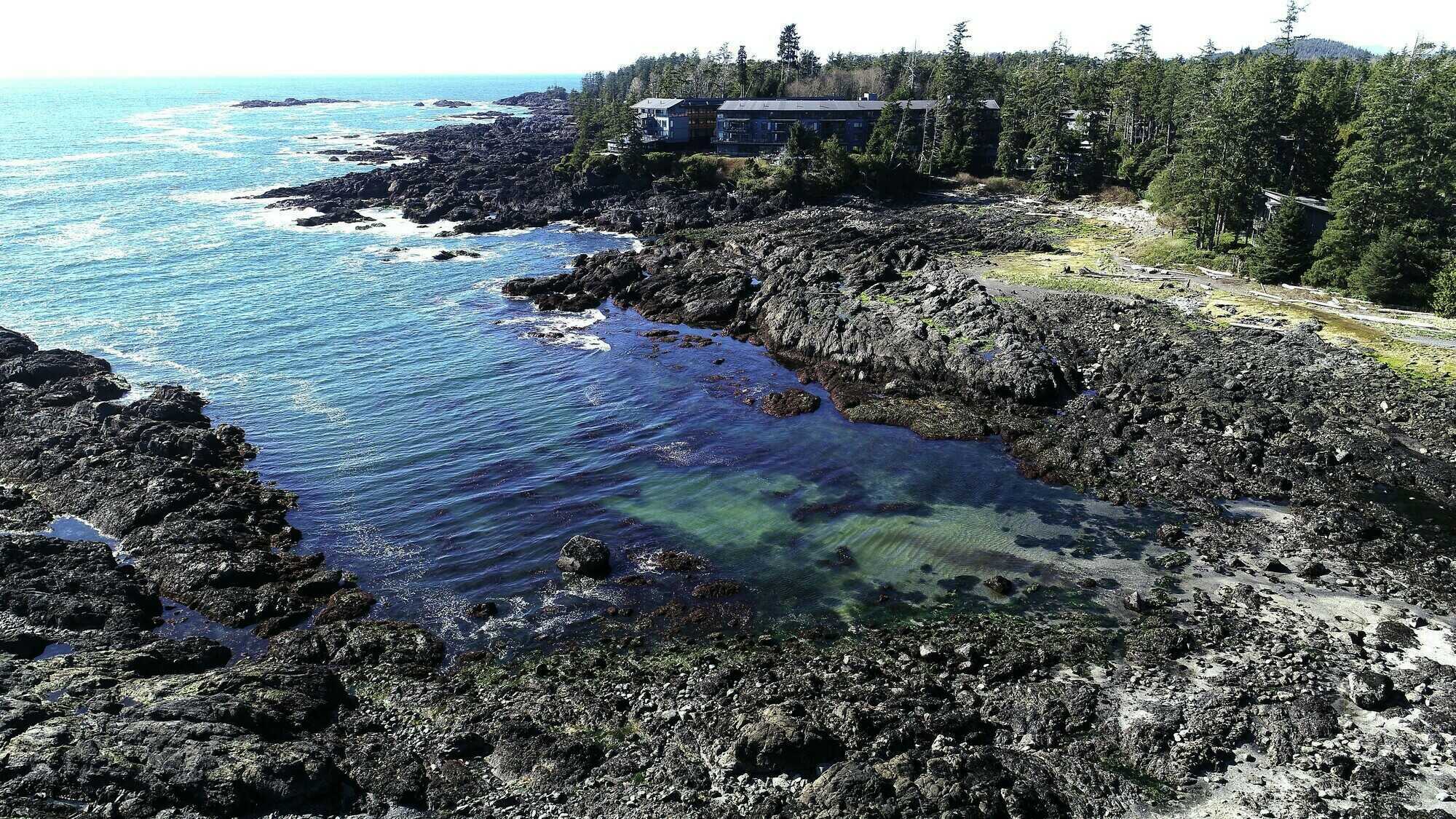 Located in the stunning oceanfront 'Primera' complex in gorgeous Ucluelet BC! This spectacular Ocean View 1621 sq ft 3 bedroom 2 bathroom corner unit Condo overlooking popular Big Beach Park awaits you! 5