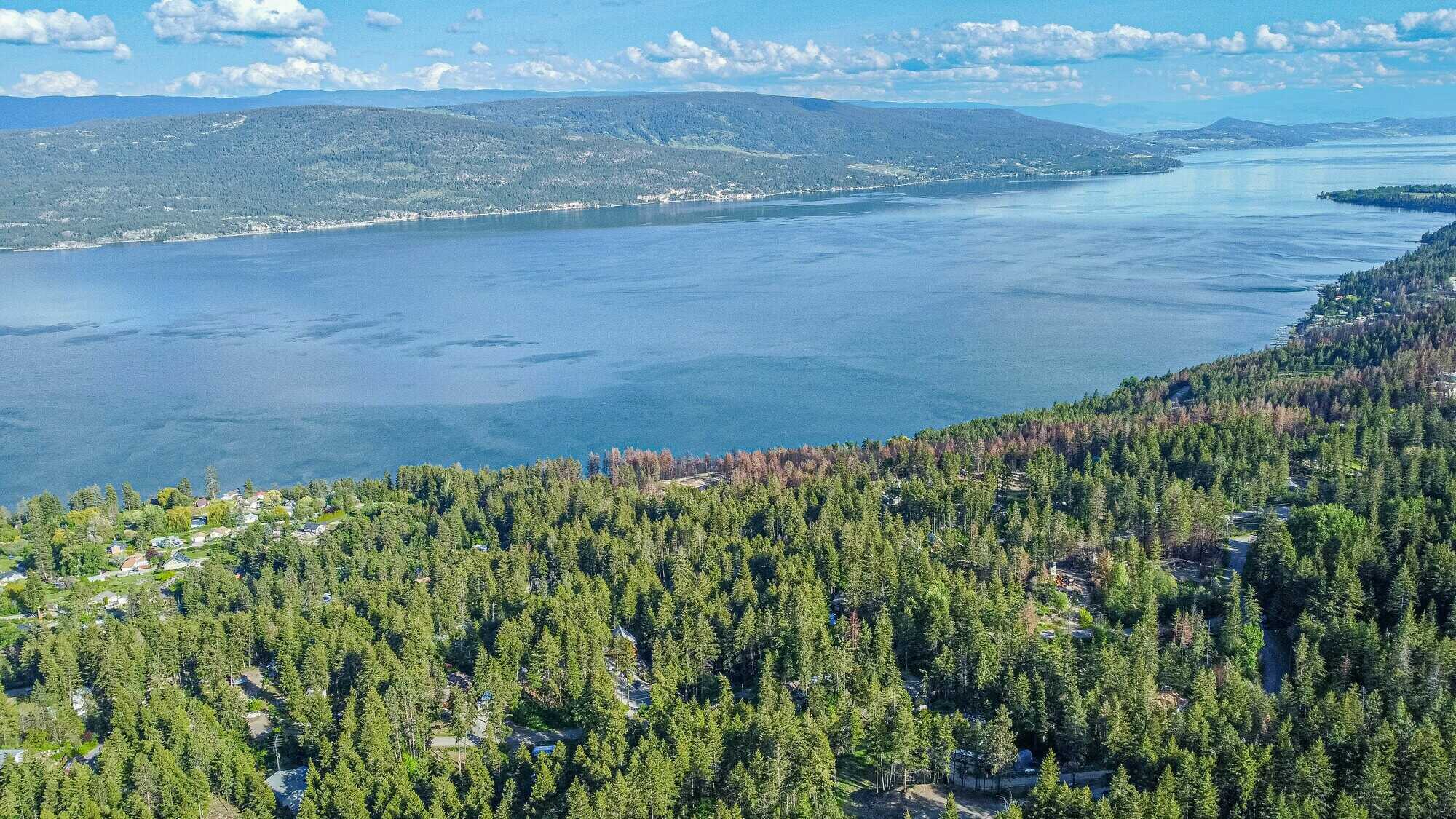 Enjoy the privacy and serenity of this fantastic .61 Acre lot with water and power onsite! Located at the top of Killiney Beach subdivision. This is a must see! 2