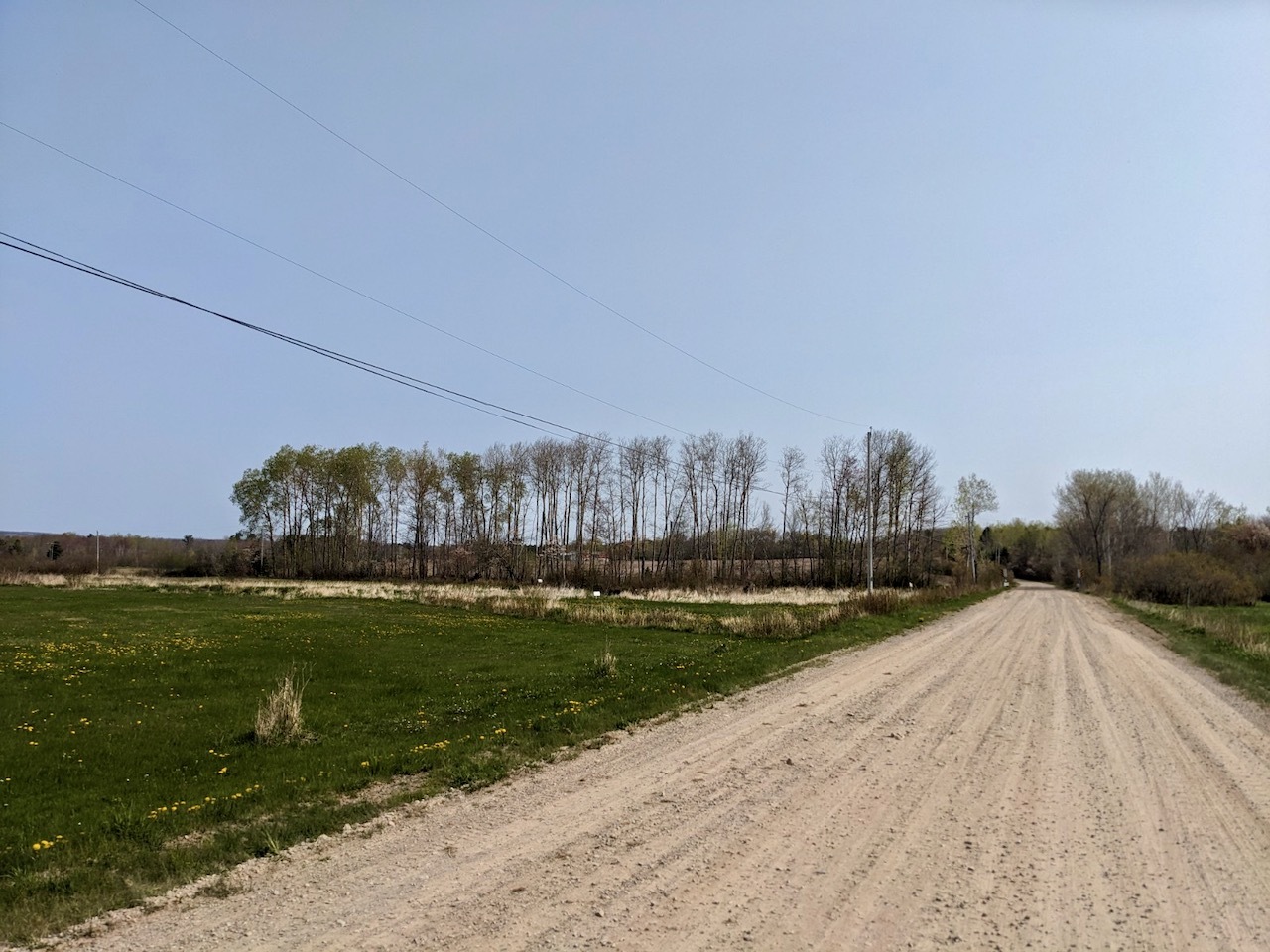10 fertile acres of land near Berwick, on secluded, no exit, Dodge and Durling Road. 4
