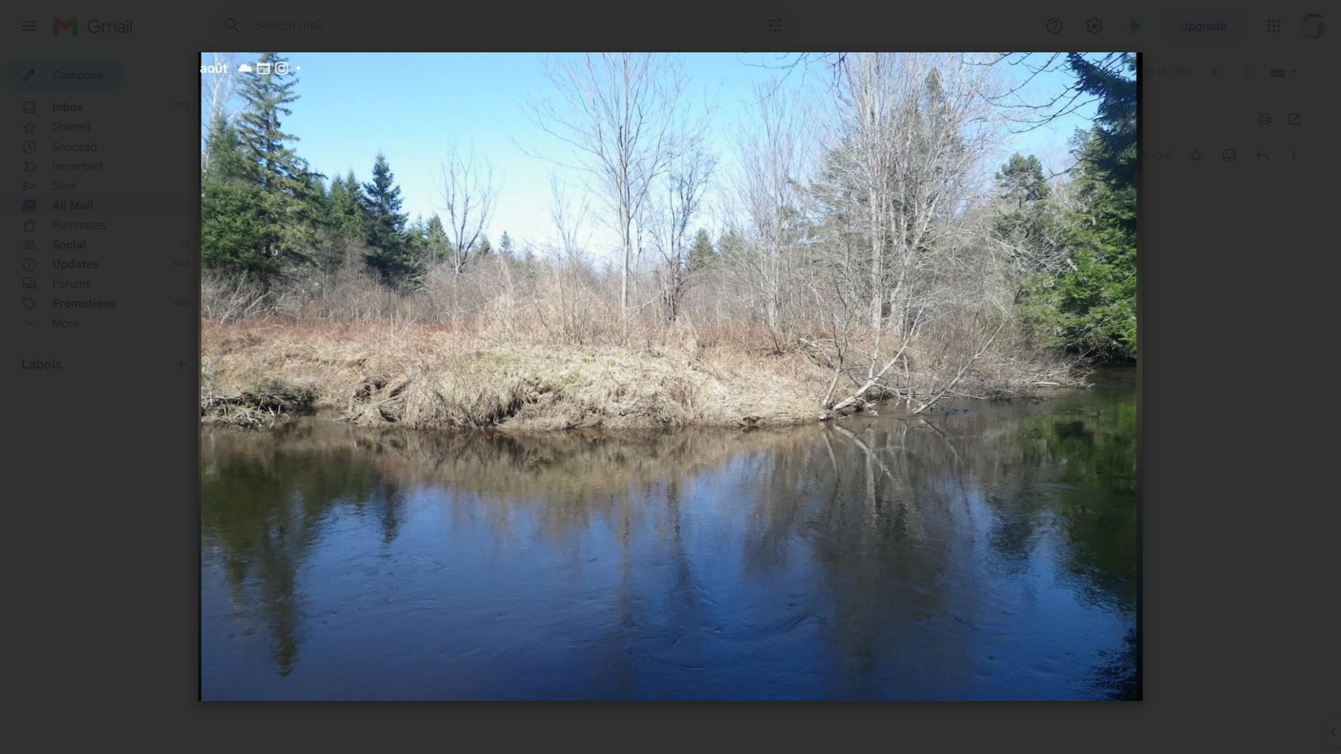 South Branch / Land for sale-Terrain à vendre 2