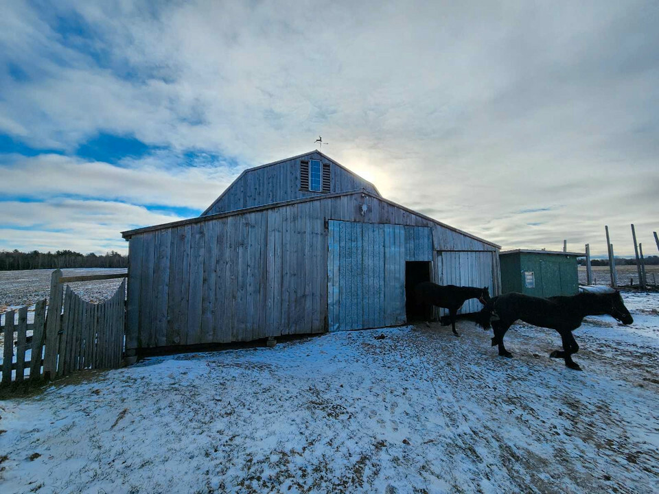 160 Acres Farm for Sale by Owner 4